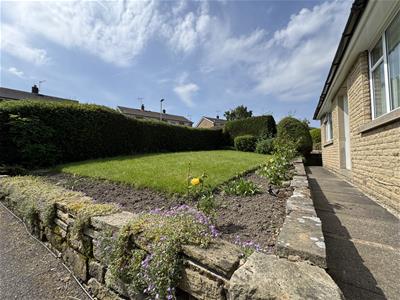 Picture 20